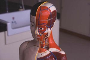 葛飾区で掛かりつけの内科をお探しなら