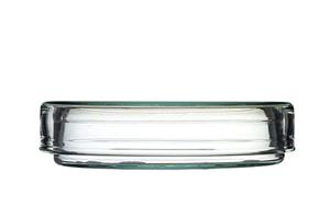 飯田市の歯医者徹底ガイド2025：選び方とおすすめクリニックの最新情報