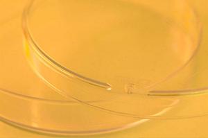 荻窪で選ぶべき眼科クリニック：信頼の診療実績と最新治療を徹底解説