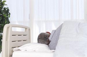 家族みんなが安心して通える箱崎の歯科医院を徹底ガイド！信頼と便利さを兼ね備えた選び方