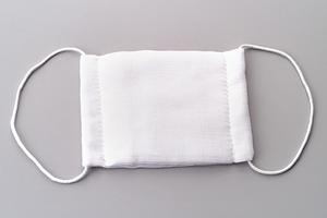 ハナミズキが出迎えてくれる動物病院