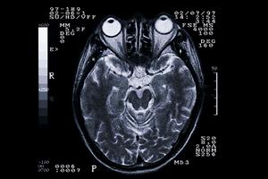 大阪府堺市で審美歯科を探しているのなら