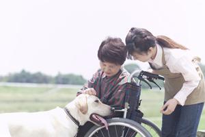 ストレスチェックを更に発展させた会社が行うサービス