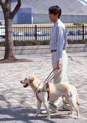 足立区にある魅力的な内科診療医院について