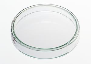 巣鴨で安心・無痛の内視鏡検査を受けるための完全ガイド