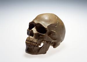 充実した施設で高品質なインプラント