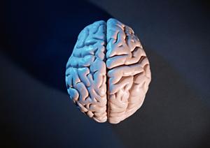 小平で子供の矯正治療を受けるなら知っておくべきポイントとおすすめクリニックガイド