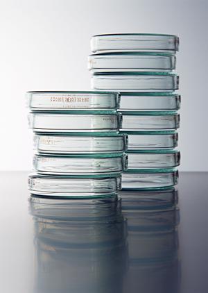 「矯正歯科の選び方と治療法ガイド：子供から大人までの歯並び改善の全貌」