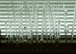 盛岡市で歯医者選びをしっかりしよう